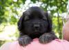 images/T-Wurf/T-Wurf Wo 6/3S8A2662_blau.jpg